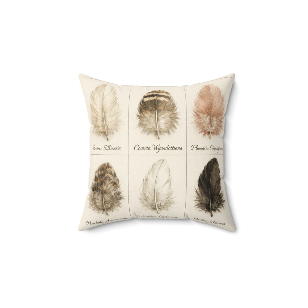 Feather Study — Throw Pillow