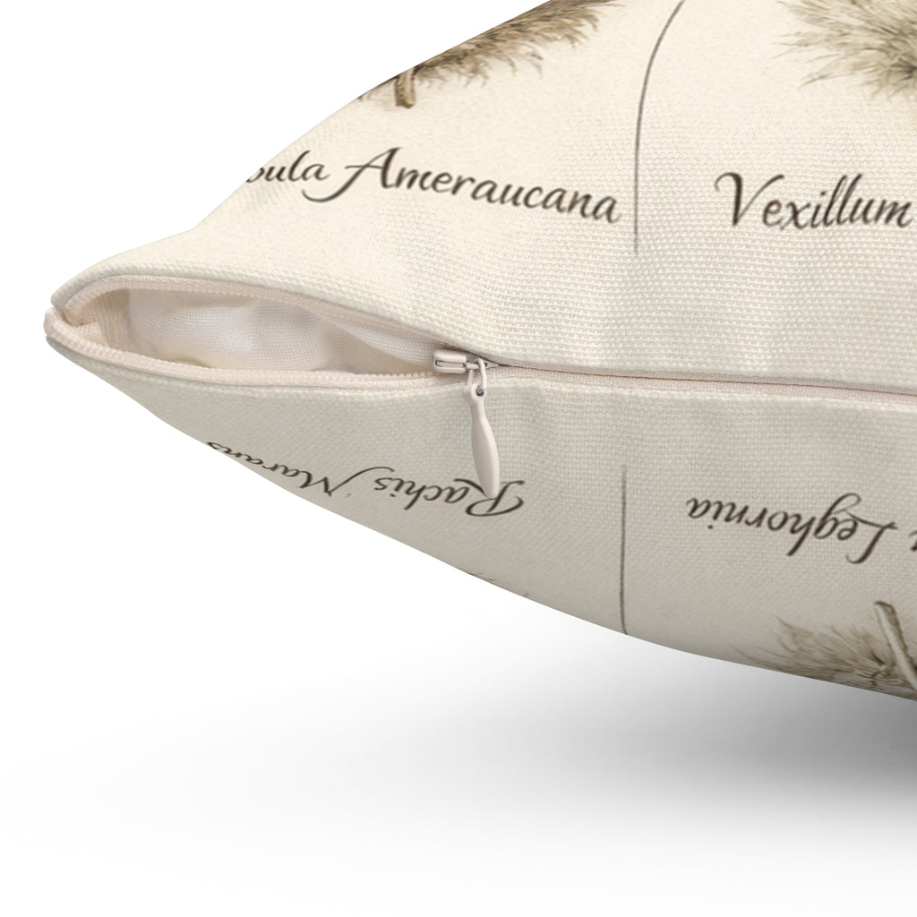 Feather Study — Throw Pillow