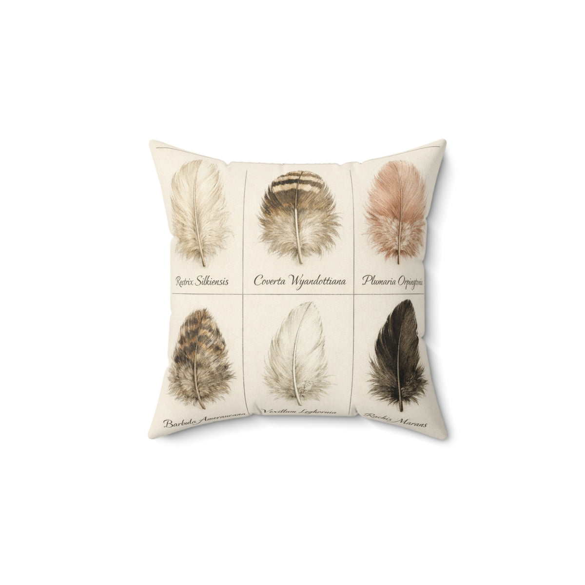 Feather Study — Throw Pillow