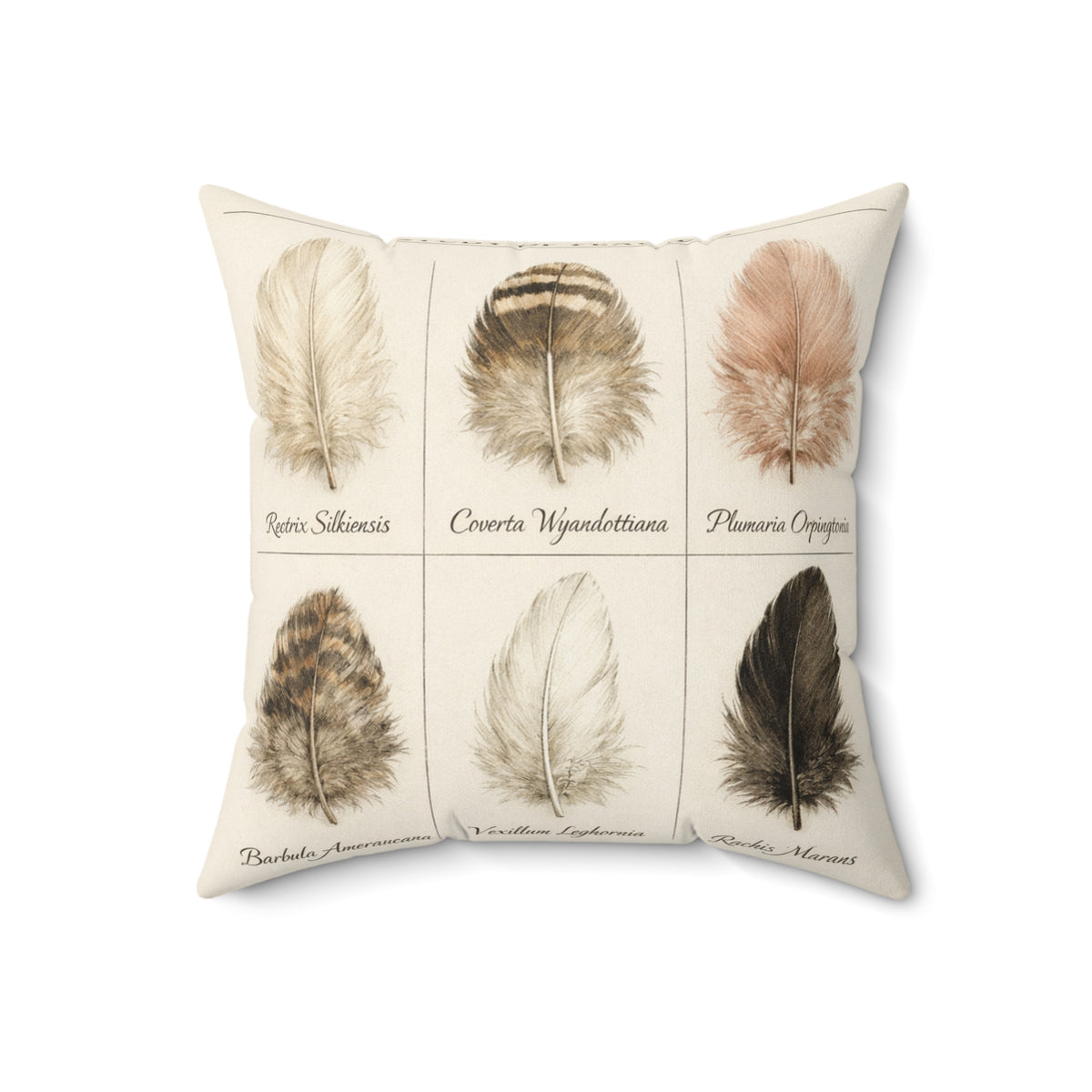 Feather Study — Throw Pillow