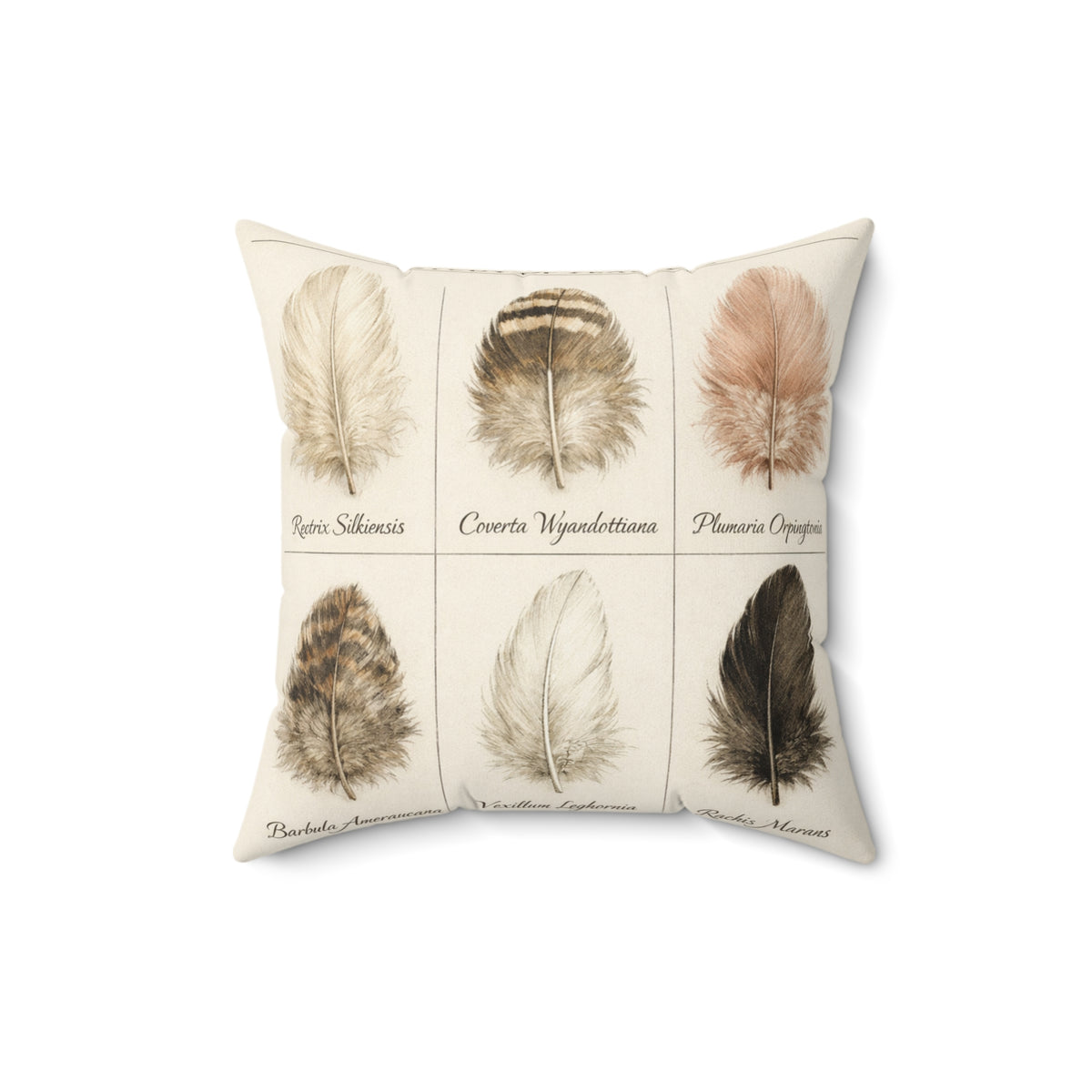 Feather Study — Throw Pillow