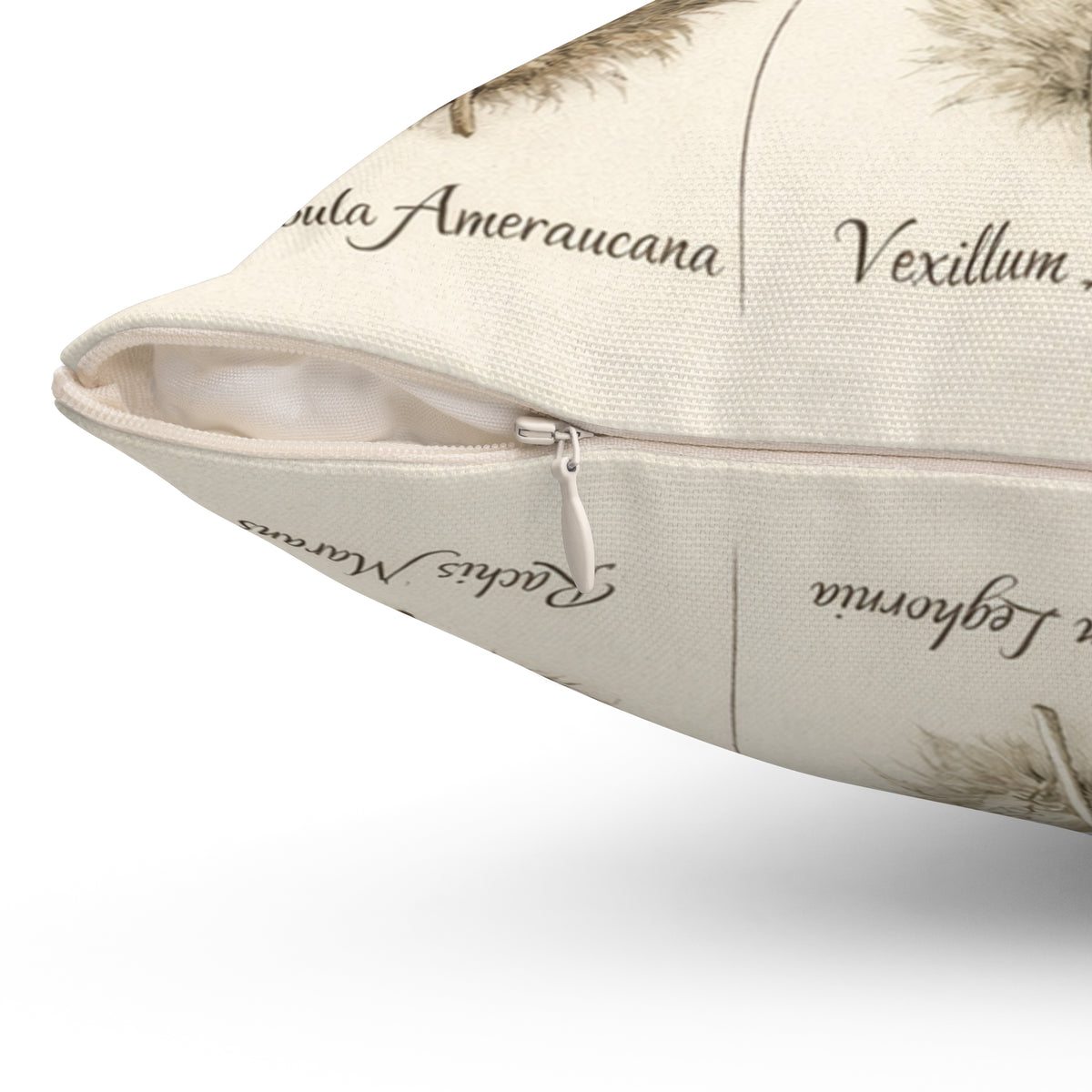 Feather Study — Throw Pillow