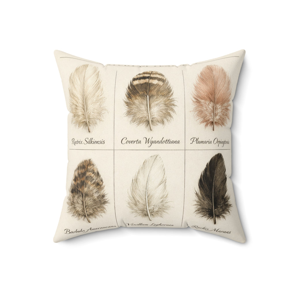 Feather Study — Throw Pillow